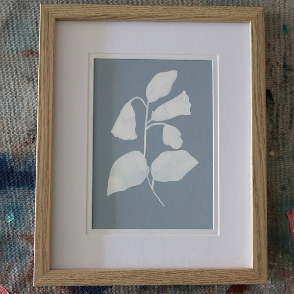 Moments by Charlie - Journey of Creative Pursuits | Adelaide artist Charlie Albright // Framed bellflower wildflower drawing painted with gouache paint | Available on Bluethumb, Etsy and artist's website