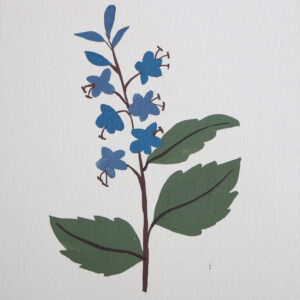 Moments by Charlie - Journey of Creative Pursuits | Adelaide artist Charlie Albright // Framed forget me not wildflower drawing painted with gouache paint | Available on Bluethumb, Etsy and artist's website