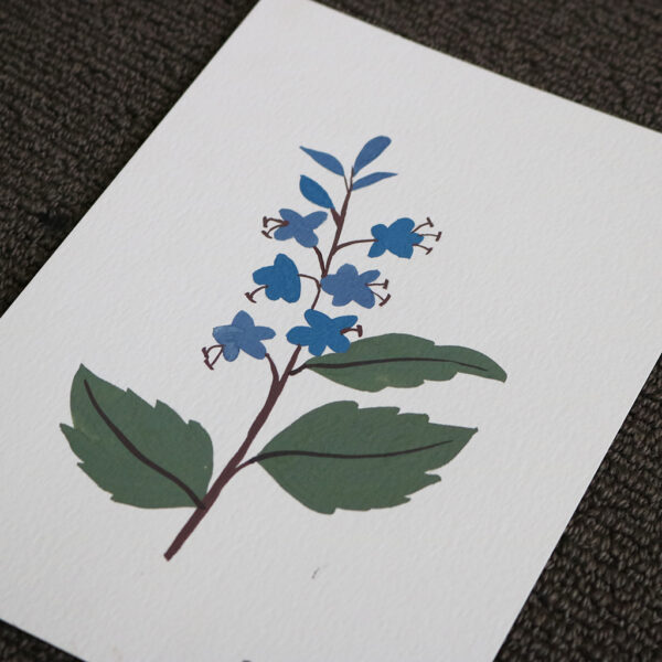 Moments by Charlie - Journey of Creative Pursuits | Adelaide artist Charlie Albright // Framed forget me not wildflower drawing painted with gouache paint | Available on Bluethumb, Etsy and artist's website