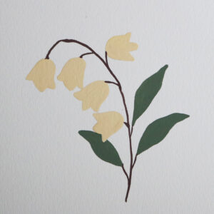 Moments by Charlie | Artist Charlie Albright | Lily Of The Valley Wildflower